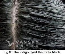 250219140421_Hair-Dyed with indigo-s.jpg